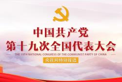 学习“十九大”专题